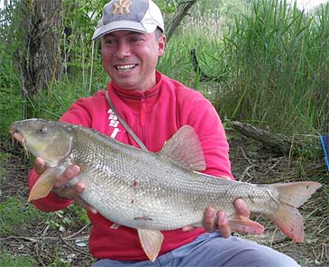 1226_Italian Barbel_Barbus plebejus.jpg